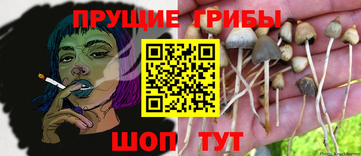 Псилоцибиновые грибы ЛСД  Вход с VPN  Фурманов 